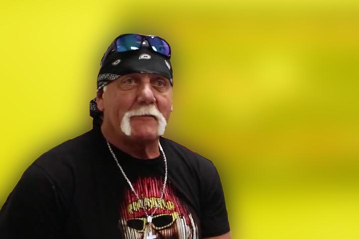 WWE Hall Of Famer Hulk Hogan Divorced Wife Jennifer McDaniel