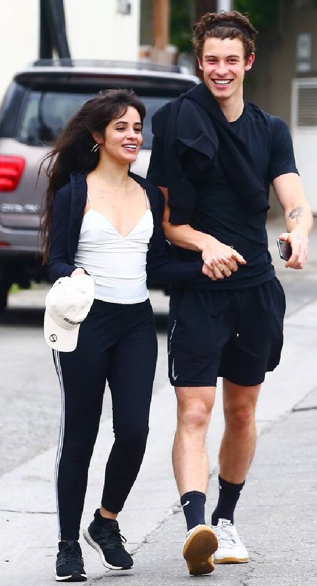 camila cabello with shawn mendes