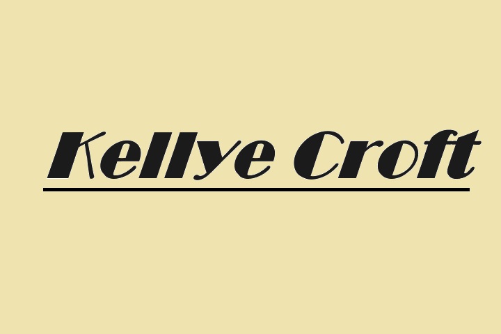 Who Is Kellye Croft?